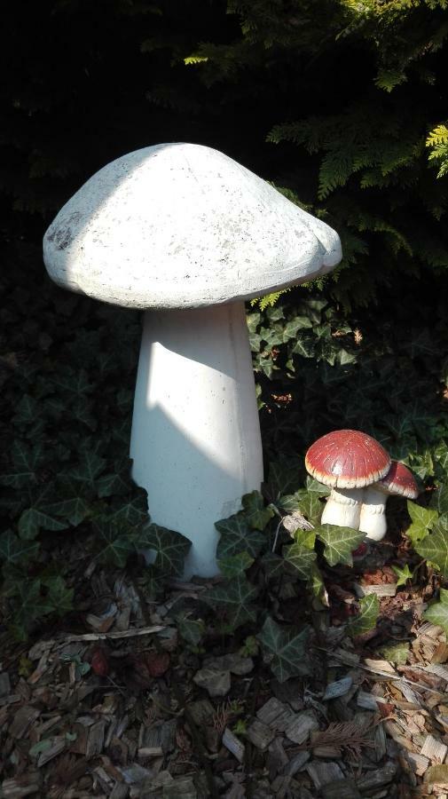 Ferienwohnungen Paul Und Dorothea Dollstadt Luaran gambar